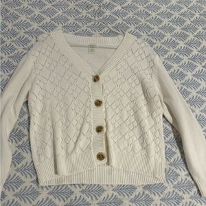 Elegant Cream Button-Up Cardigan